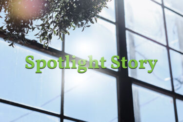 My P.D. Journey & Deep Brain Stimulation