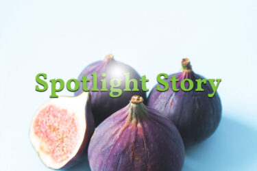 Eating to Boost Brain Health and Ease Symptoms